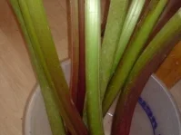 Rezept: Rhabarberkompott Bild Nr. 3 Rhabarberkompott - Rezept - Bild Nr. 3