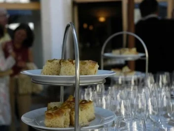 Rezept: Kartoffelbrot Kartoffelbrot - Rezept