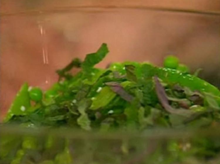Erbsensalat Rezepte
