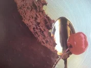 Edel - Mousse au chocolat - Rezept