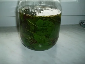 Zitronenmelissengeist - Rezept