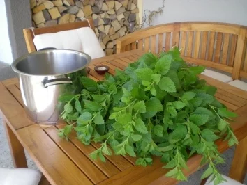 Rezept: Sirup : Zitronenmelissen Saft Bild Nr. 2 Sirup : Zitronenmelissen Saft - Rezept - Bild Nr. 2