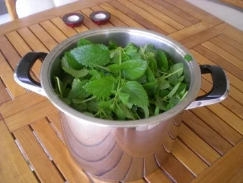 Rezept: Sirup : Zitronenmelissen Saft Bild Nr. 3 Sirup : Zitronenmelissen Saft - Rezept - Bild Nr. 3