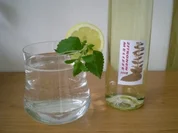 Sirup : Zitronenmelissen Saft - Rezept