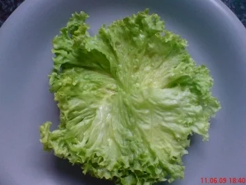 Hawaii-Burger - Rezept - Bild Nr. 3