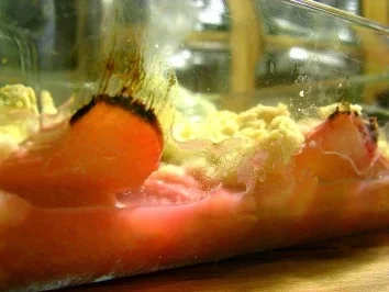 Gerries Rhubarb Crumble with Custard - Rezept - Bild Nr. 3