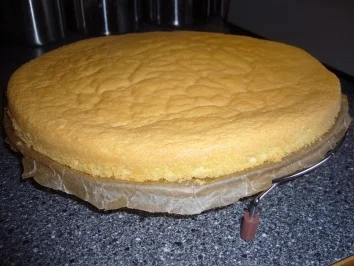 Rezept: Kikis Obstboden - Biskuit "light" Bild Nr. 9 Kikis Obstboden - Biskuit "light" - Rezept - Bild Nr. 9