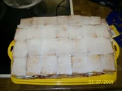 Johannesbeertraum auf Blech - Rezept