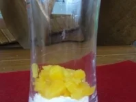 Dessert: Das was übrig blieb von der Füllung der Mannheimer Törtchen - Rezept - Bild Nr. 4