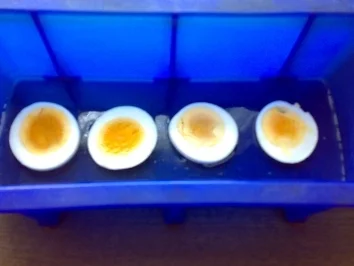 Rezept: Spargelsülze Bild Nr. 4 Spargelsülze - Rezept - Bild Nr. 4