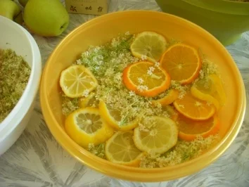 Holunderblütengelee - Rezept - Bild Nr. 3