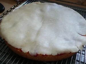 weltbeste Erdbeer-Marzipan-Joghurt-Torte - Rezept - Bild Nr. 10