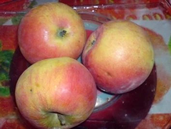 Rezept: Ki-Ba-Apfel-Konfitüre Bild Nr. 5 Ki-Ba-Apfel-Konfitüre - Rezept - Bild Nr. 5