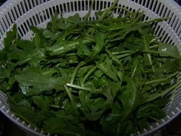 Rezept: Rucolacremesuppe Bild Nr. 2 Rucolacremesuppe - Rezept - Bild Nr. 2