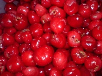 Schneewittchens Kirschtorte - Rezept - Bild Nr. 9