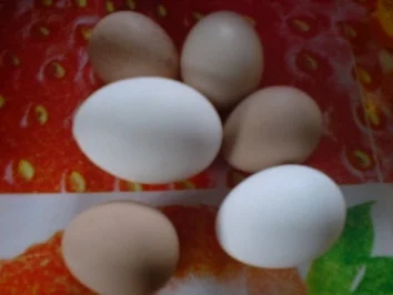 Teig für 3 Obstböden - Rezept - Bild Nr. 3