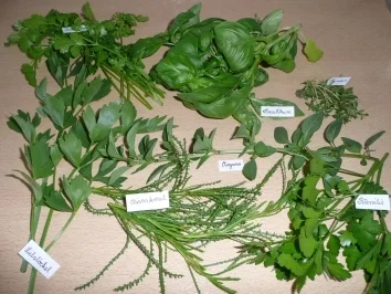 Biggi's 7 Kräuter-Pesto... - Rezept