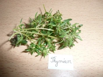 Biggi's 7 Kräuter-Pesto... - Rezept - Bild Nr. 2