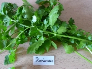 Biggi's 7 Kräuter-Pesto... - Rezept - Bild Nr. 3