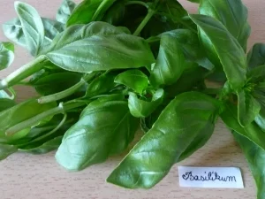Biggi's 7 Kräuter-Pesto... - Rezept - Bild Nr. 4