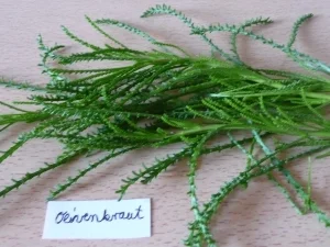 Biggi's 7 Kräuter-Pesto... - Rezept - Bild Nr. 6