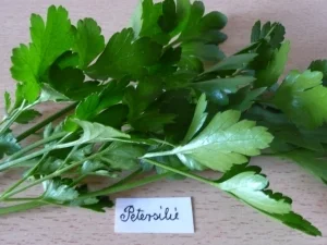 Biggi's 7 Kräuter-Pesto... - Rezept - Bild Nr. 8