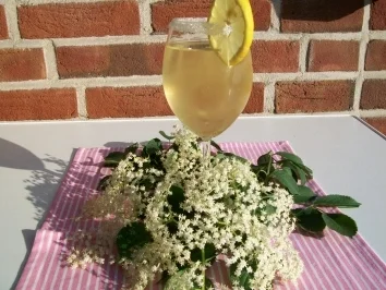 Holunderblütentraum - Rezept