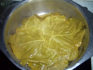 Rezept: Dolmadakia oder auch Dolmades Bild Nr. 4 Dolmadakia oder auch Dolmades - Rezept - Bild Nr. 4