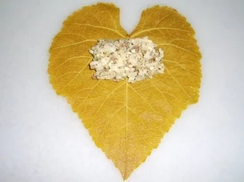 Rezept: Dolmadakia oder auch Dolmades Bild Nr. 7 Dolmadakia oder auch Dolmades - Rezept - Bild Nr. 7