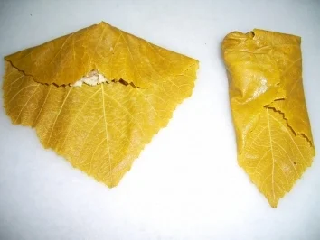 Rezept: Dolmadakia oder auch Dolmades Bild Nr. 8 Dolmadakia oder auch Dolmades - Rezept - Bild Nr. 8