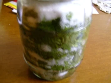 Rezept: Spitzwegerichhustensirup Spitzwegerichhustensirup - Rezept