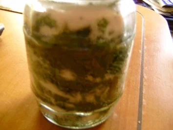 Rezept: Spitzwegerichhustensirup Bild Nr. 2 Spitzwegerichhustensirup - Rezept - Bild Nr. 2