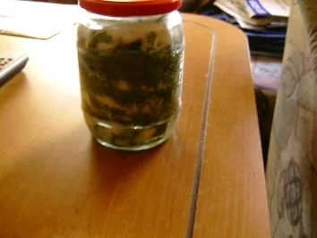 Rezept: Spitzwegerichhustensirup Bild Nr. 3 Spitzwegerichhustensirup - Rezept - Bild Nr. 3