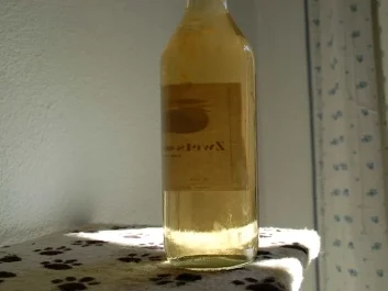 Hollundersirup - Rezept - Bild Nr. 3