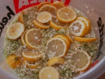 Hollundersirup - Rezept - Bild Nr. 2