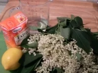 Rezept: Holundeblütengelee Holundeblütengelee - Rezept