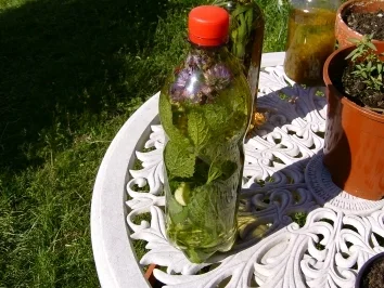 Rezept: Würzöl Würzöl - Rezept