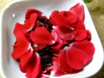 Duftrosengelee - Rezept