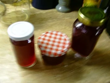 Duftrosengelee - Rezept - Bild Nr. 5