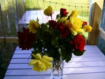 Rezept: Duftrosenhonig Duftrosenhonig - Rezept