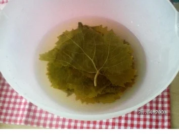 Rezept: Gefüllte Weinblätter Bild Nr. 2 Gefüllte Weinblätter - Rezept - Bild Nr. 2
