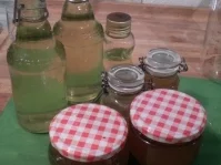 Holunderblütenlikör - Rezept - Bild Nr. 2