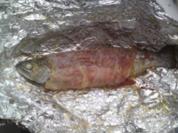 Gegrillte Forelle - Rezept