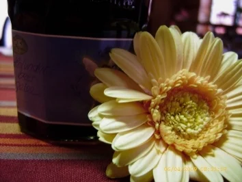 Rezept: Holunderbeer - Gelee Bild Nr. 5 Holunderbeer - Gelee - Rezept - Bild Nr. 5