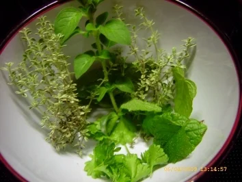 Rezept: Tomatensauce mexikanisch angehaucht Bild Nr. 5 Tomatensauce mexikanisch angehaucht - Rezept - Bild Nr. 5