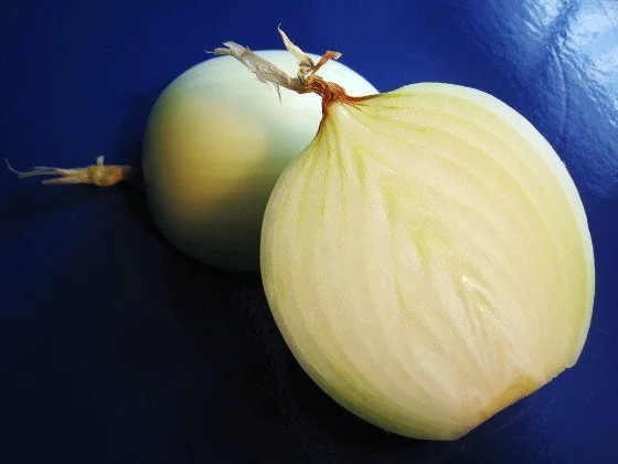 Kater-Killer ... ein Heringsessen - Rezept - Bild Nr. 2