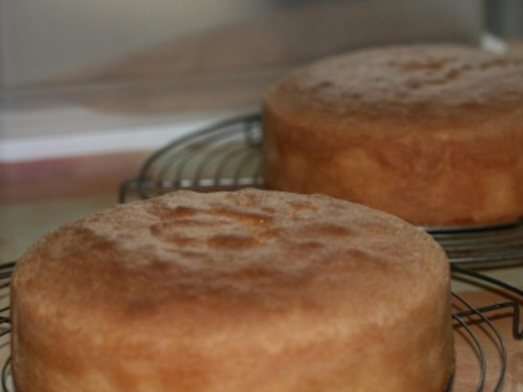 Biskuit Kuchen Boden - einfach - von hsk2310