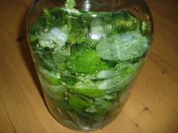 Pfefferminz - Sirup - Rezept