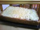 Apfel-Zwetschgen-Streuselkuchen - Rezept