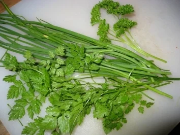 Fischsalat auf französische Art - Rezept - Bild Nr. 2